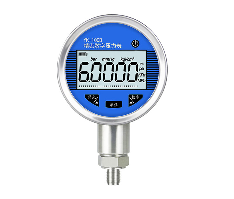 <b>RS485通訊型數字壓力表</b>