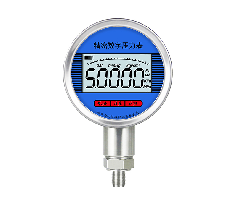 <b>標準數字壓力表</b>